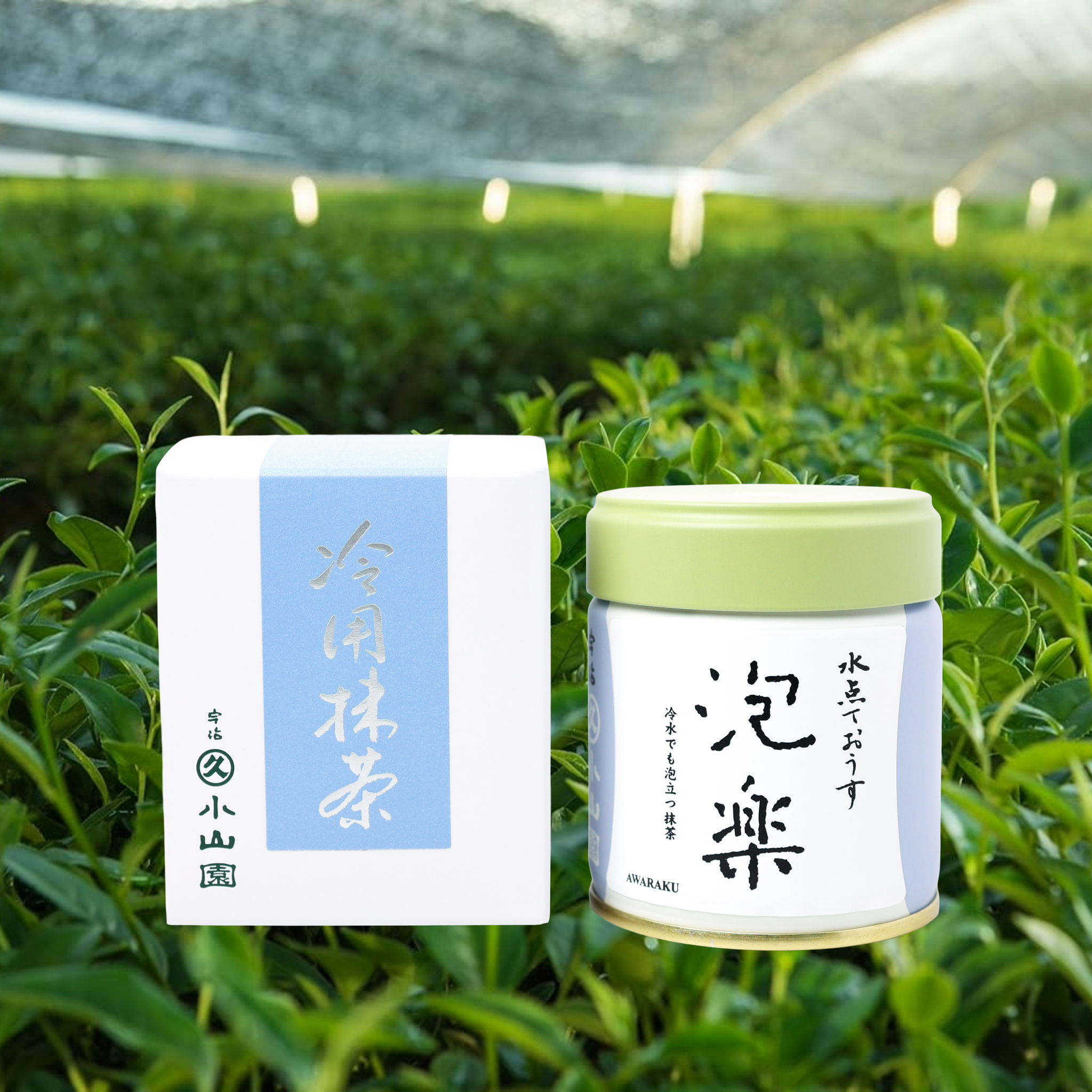 Awaraku by Marukyu Koyamaen - Summer Limited Edition