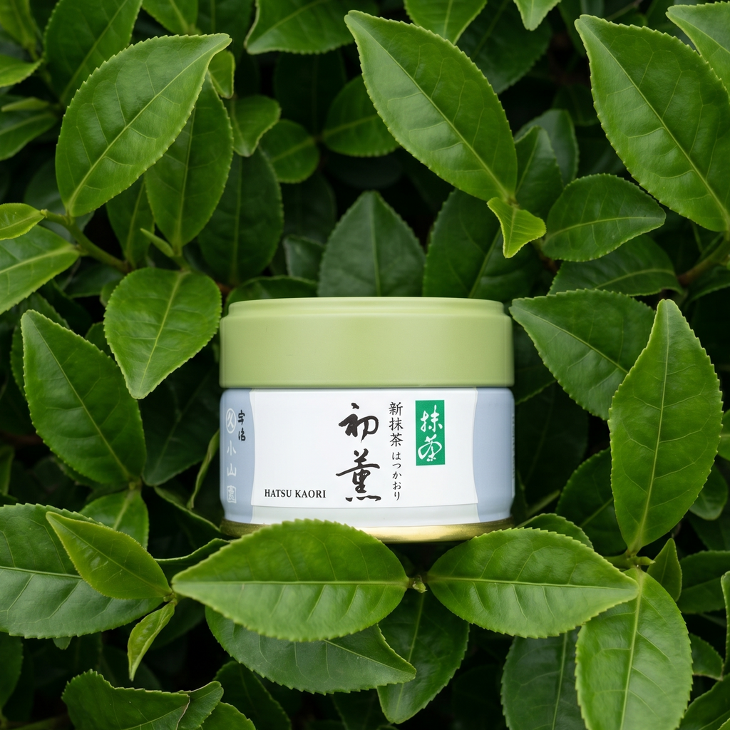 Hatsu Kaori by Marukyu Koyamaen (First Harvest Matcha)