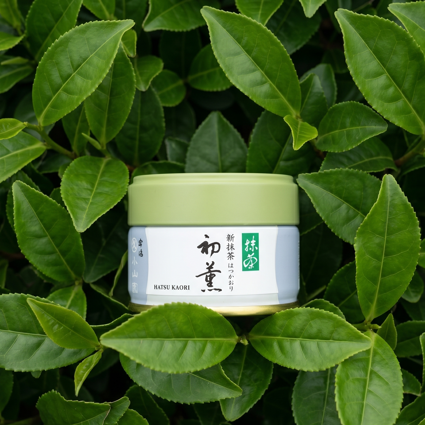 Hatsu Kaori by Marukyu Koyamaen (First Harvest Matcha)