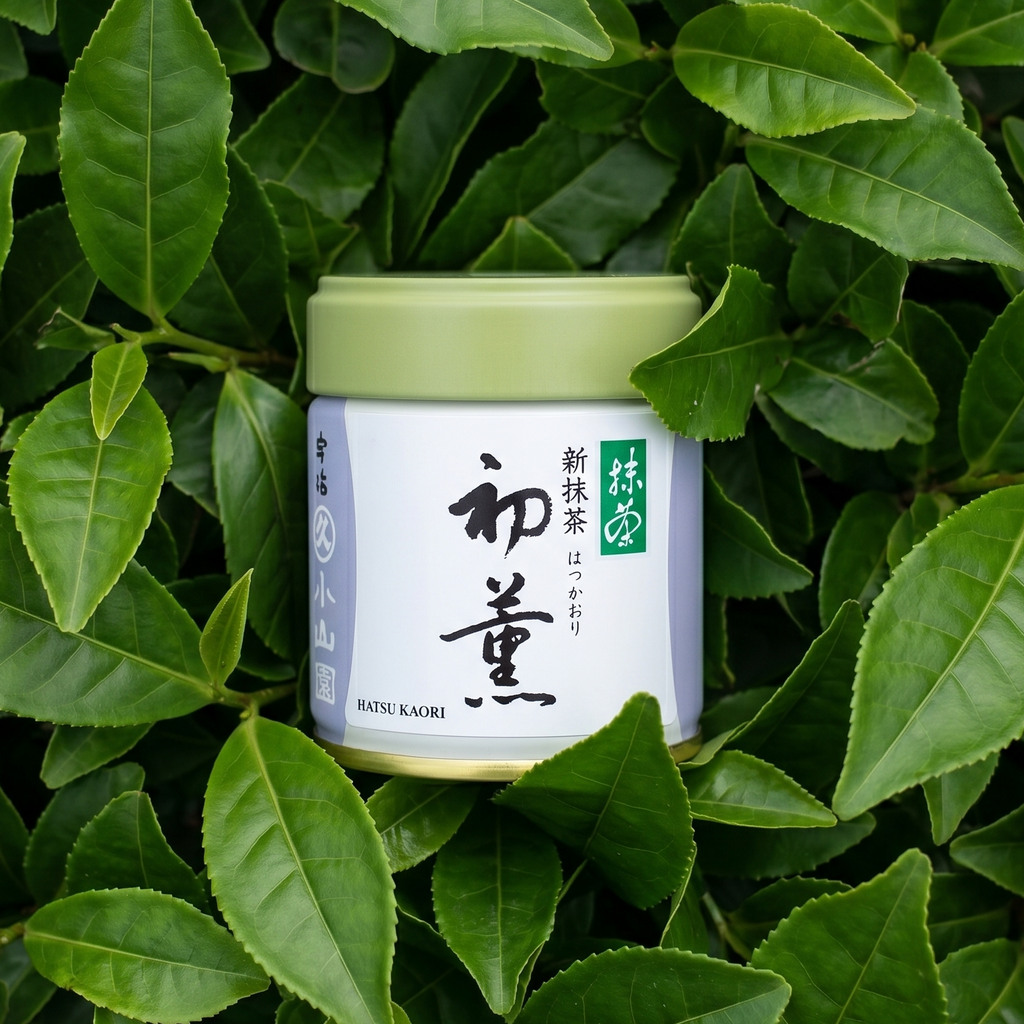 Hatsu Kaori by Marukyu Koyamaen (First Harvest Matcha)