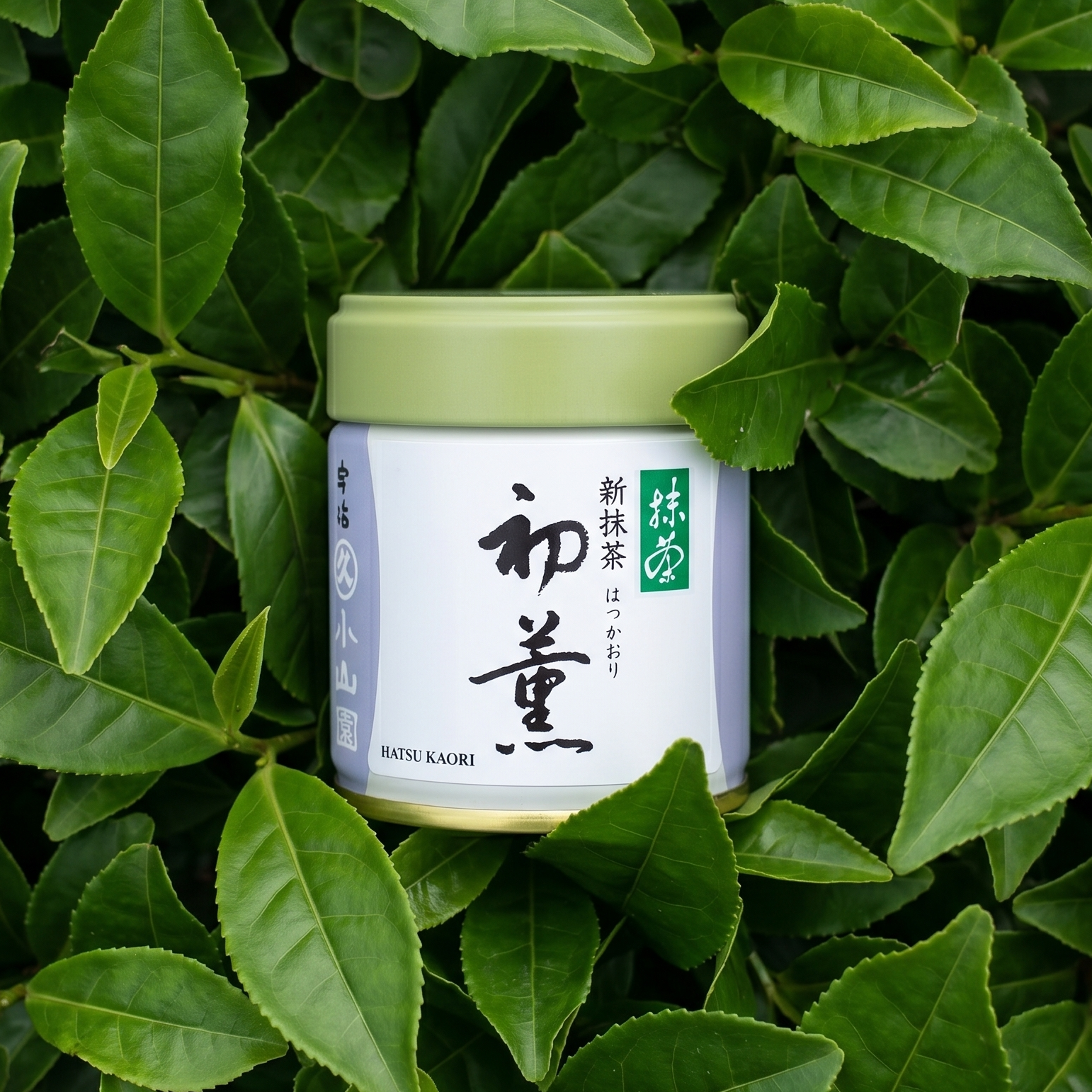 Hatsu Kaori by Marukyu Koyamaen (First Harvest Matcha)