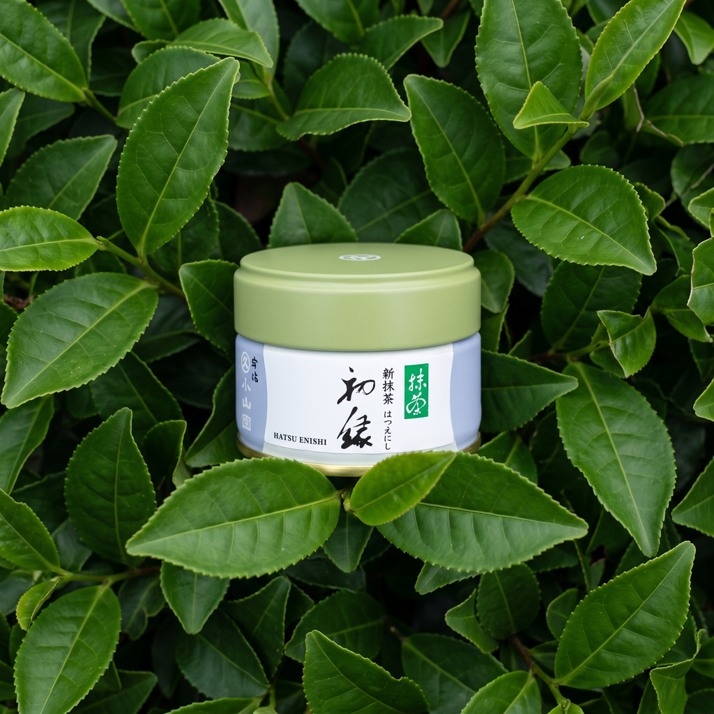 Hatsu Enishi by Marukyu Koyamaen (First Harvest Matcha)