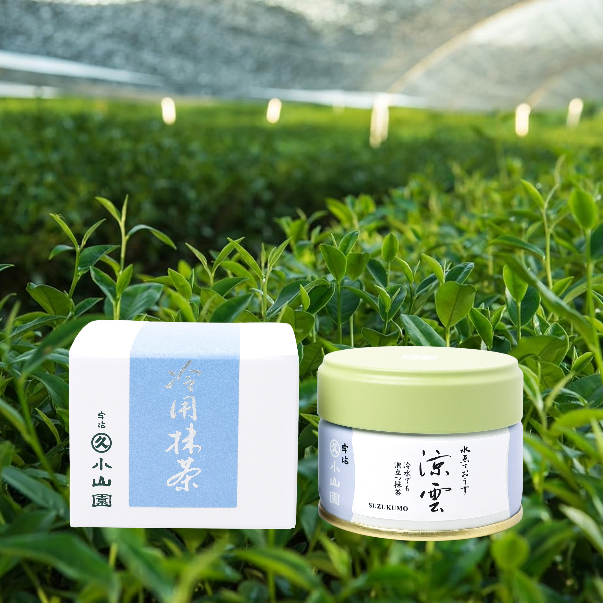 Suzukumo by Marukyu Koyamaen - Summer Limited Edition